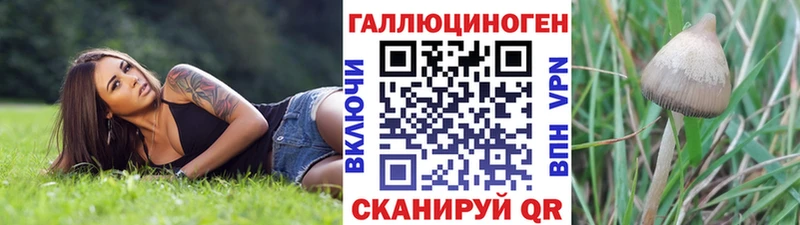 Псилоцибиновые грибы GOLDEN TEACHER  Щёкино 