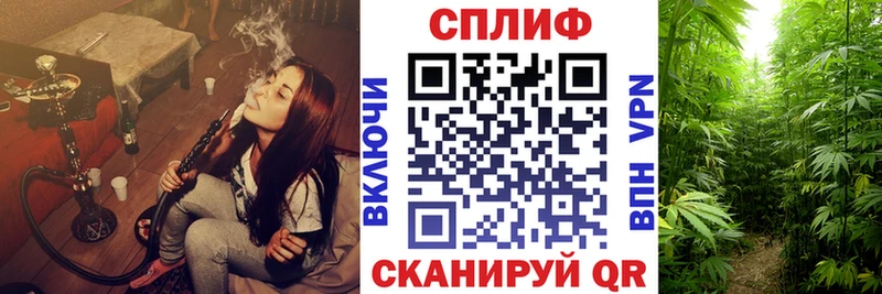 Бошки Шишки гибрид  omg как зайти  Щёкино  где купить наркоту 